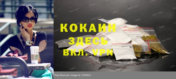 тгк Богородицк