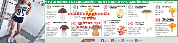 тгк Богородицк